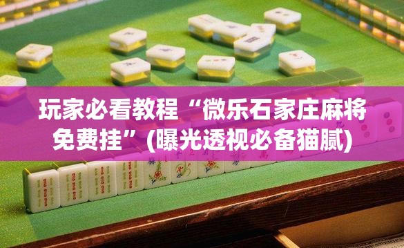 玩家必看教程“微乐石家庄麻将免费挂”(曝光透视必备猫腻) 玩家必看教程“微乐石家庄麻将免费挂”(曝光透视必备猫腻)
