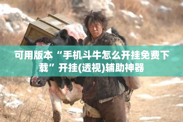 可用版本“手机斗牛怎么开挂免费下载”开挂(透视)辅助神器