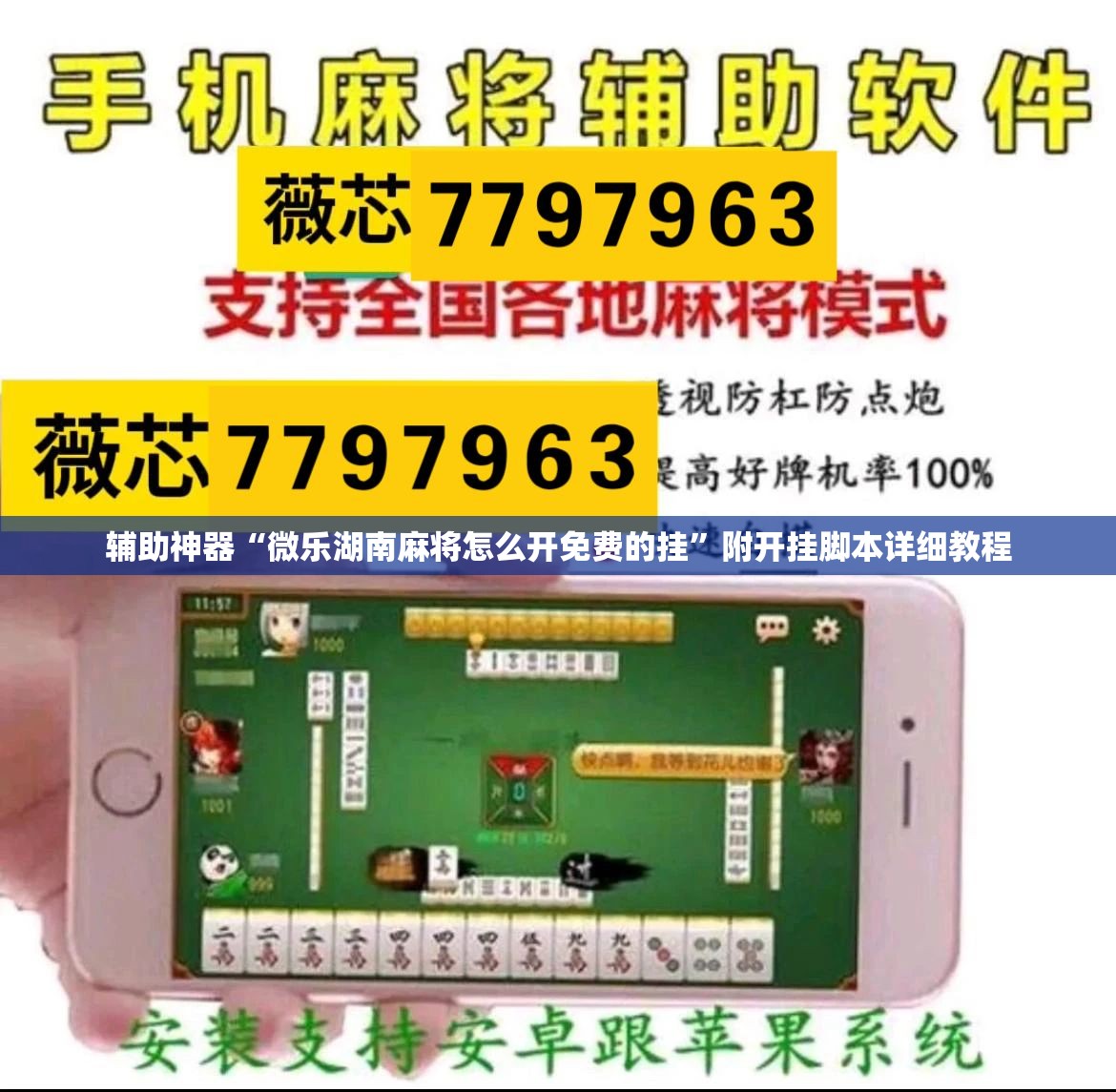 辅助神器“微乐湖南麻将怎么开免费的挂”附开挂脚本详细教程