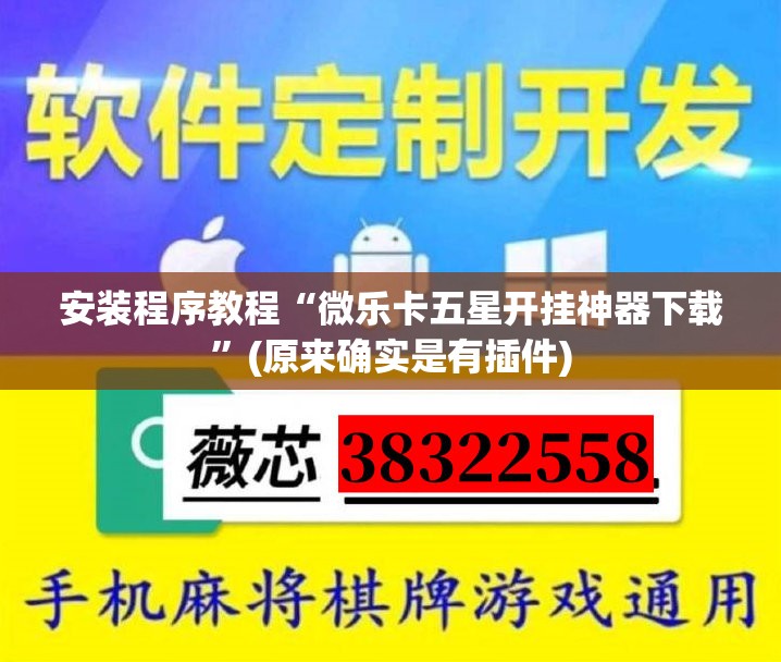 安装程序教程“微乐卡五星开挂神器下载”(原来确实是有插件)