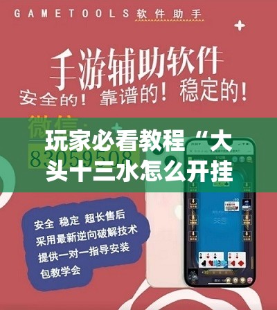 玩家必看教程“大头十三水怎么开挂”开挂(透视)辅助神器 玩家必看教程“大头十三水怎么开挂”开挂(透视)辅助神器