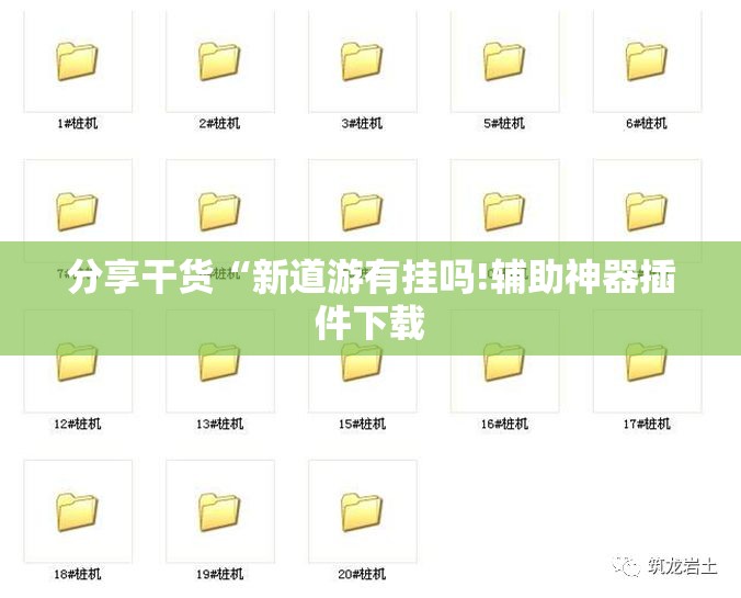 分享干货“新道游有挂吗!辅助神器插件下载