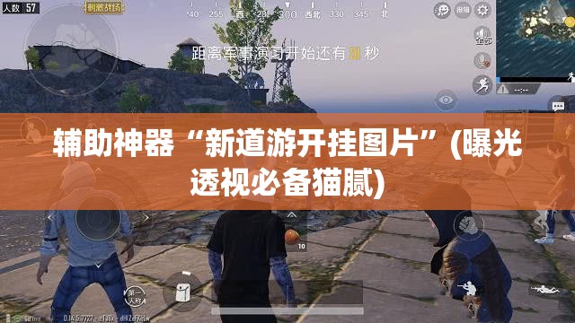 辅助神器“新道游开挂图片”(曝光透视必备猫腻) 辅助神器“新道游开挂图片”(曝光透视必备猫腻)