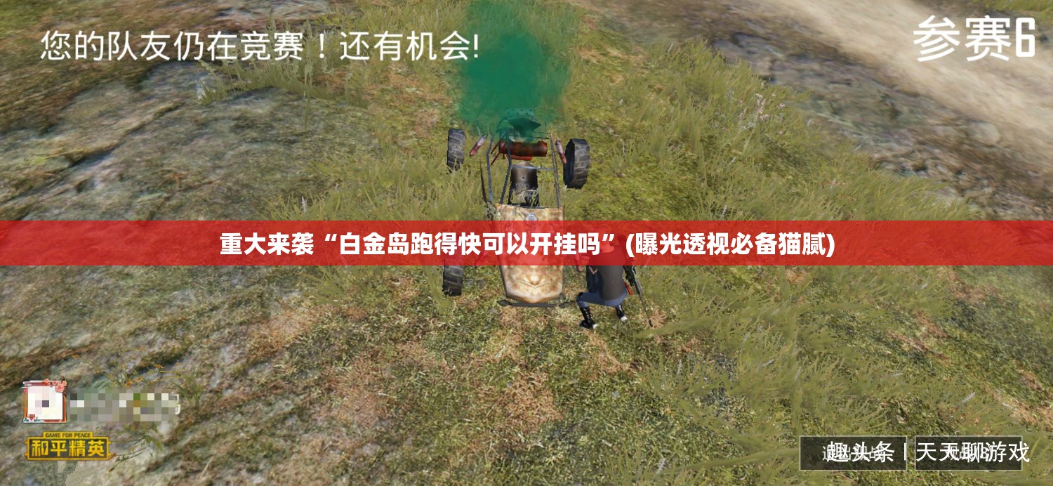 重大来袭“白金岛跑得快可以开挂吗”(曝光透视必备猫腻) 重大来袭“白金岛跑得快可以开挂吗”(曝光透视必备猫腻)