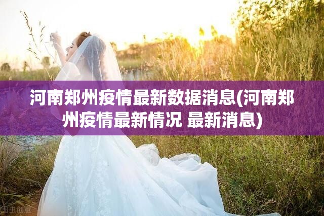 河南郑州疫情最新数据消息(河南郑州疫情最新情况 最新消息)