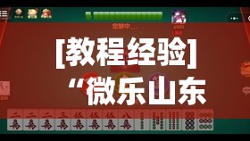 [教程经验]“微乐山东麻将免费挂”开挂(透视)辅助神器