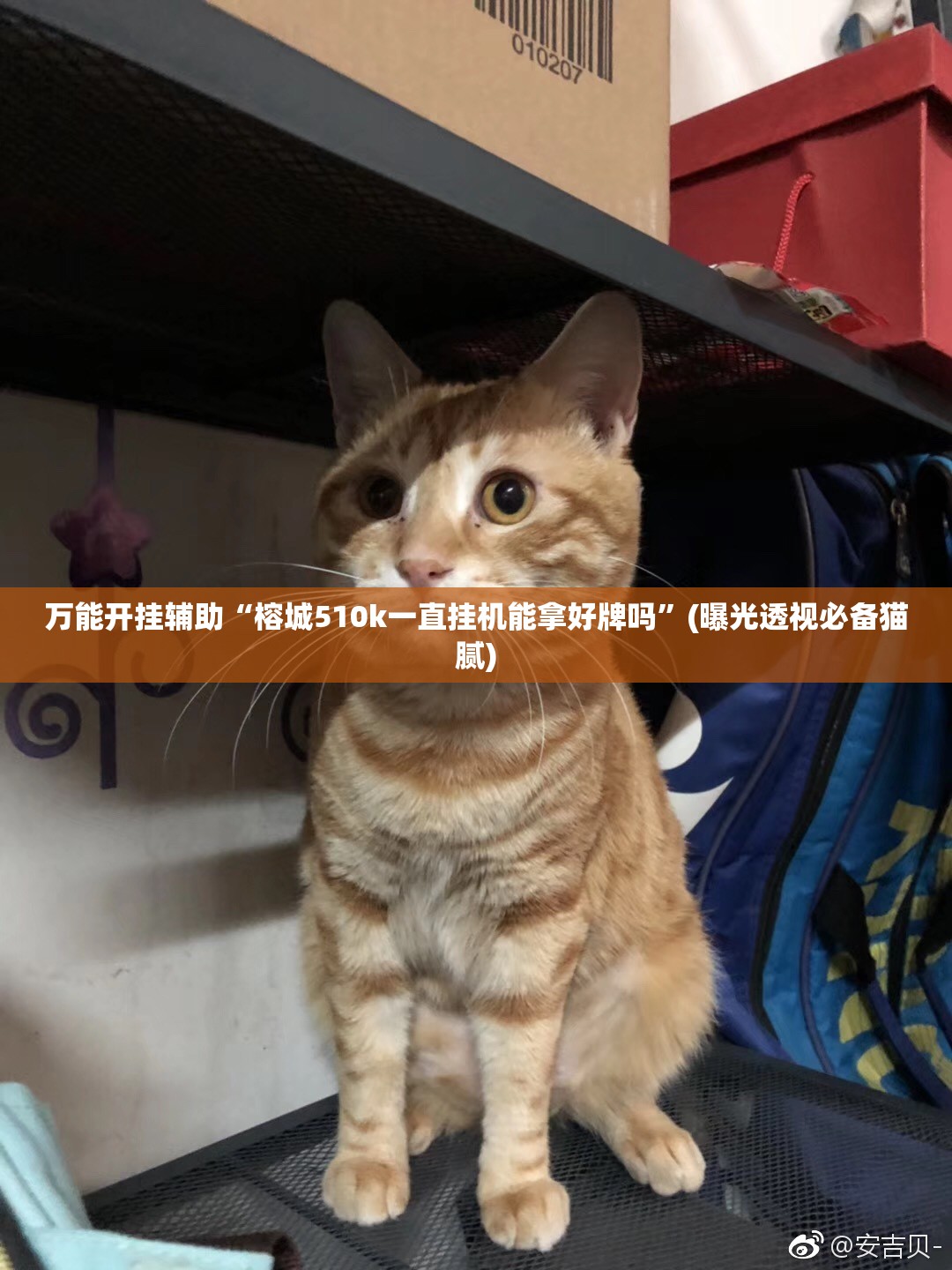 万能开挂辅助“榕城510k一直挂机能拿好牌吗”(曝光透视必备猫腻) 万能开挂辅助“榕城510k一直挂机能拿好牌吗”(曝光透视必备猫腻)