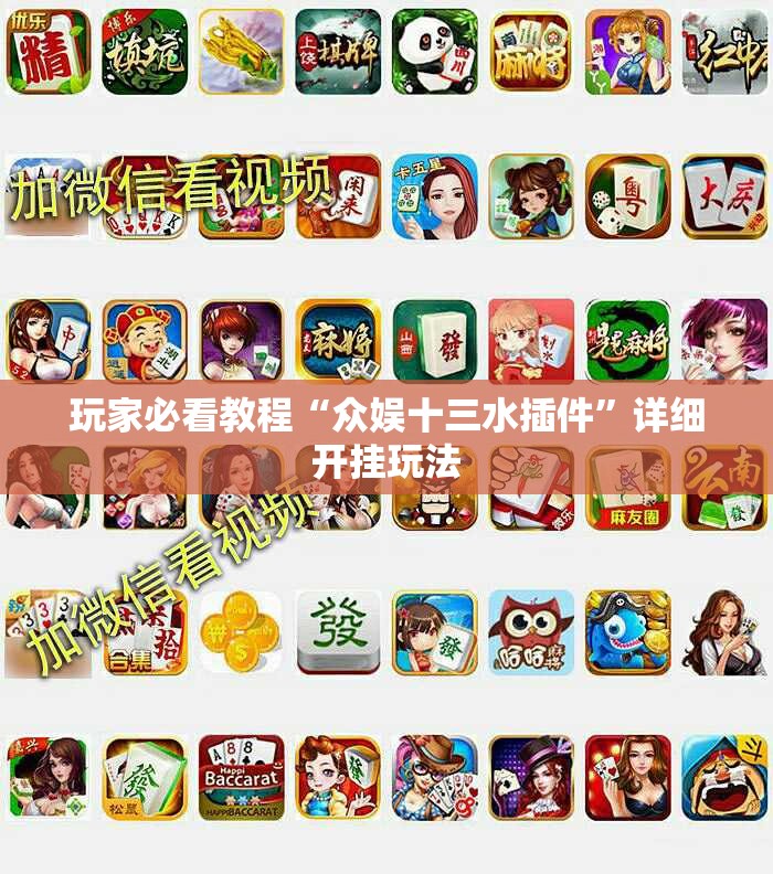 玩家必看教程“众娱十三水插件”详细开挂玩法