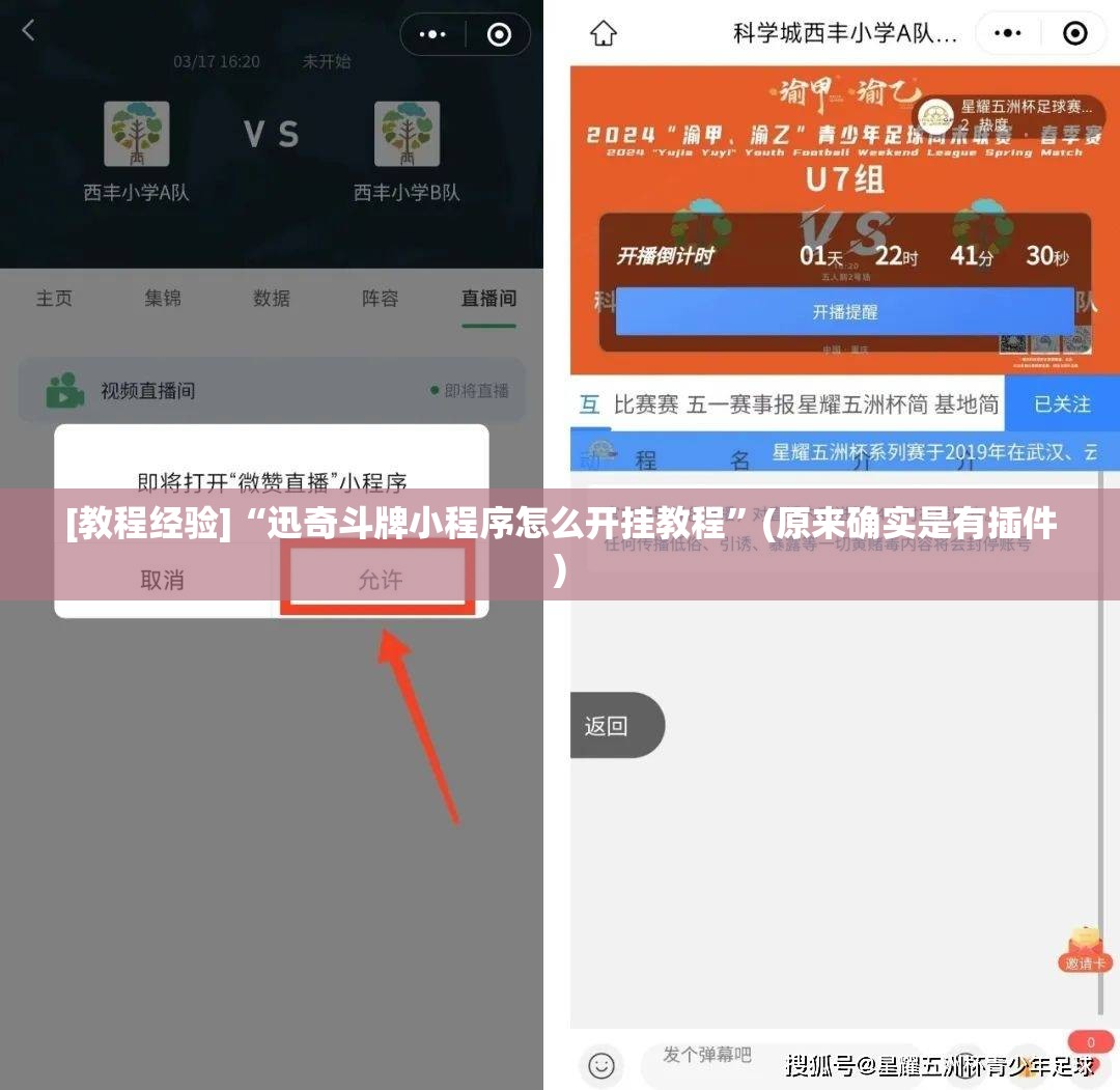 [教程经验]“迅奇斗牌小程序怎么开挂教程”(原来确实是有插件)