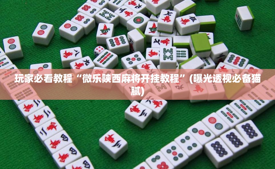 玩家必看教程“微乐陕西麻将开挂教程”(曝光透视必备猫腻) 玩家必看教程“微乐陕西麻将开挂教程”(曝光透视必备猫腻)