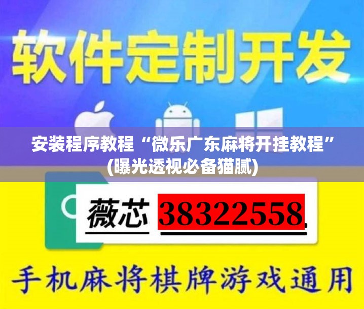 安装程序教程“微乐广东麻将开挂教程”(曝光透视必备猫腻)