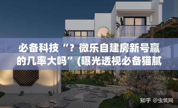 必备科技“？微乐自建房新号赢的几率大吗”(曝光透视必备猫腻)