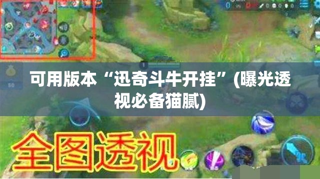 可用版本“迅奇斗牛开挂”(曝光透视必备猫腻)
