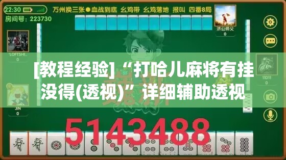 [教程经验]“打哈儿麻将有挂没得(透视)”详细辅助透视