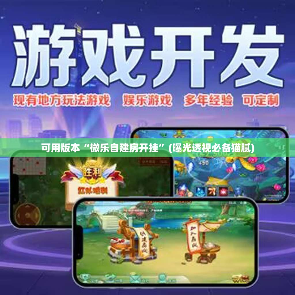 可用版本“微乐自建房开挂”(曝光透视必备猫腻) 可用版本“微乐自建房开挂”(曝光透视必备猫腻)