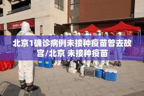 北京1确诊病例未接种疫苗曾去故宫/北京 未接种疫苗 北京1确诊病例未接种疫苗曾去故宫/北京 未接种疫苗