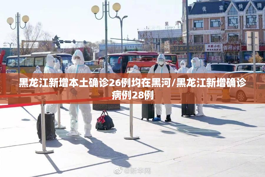 黑龙江新增本土确诊26例均在黑河/黑龙江新增确诊病例28例