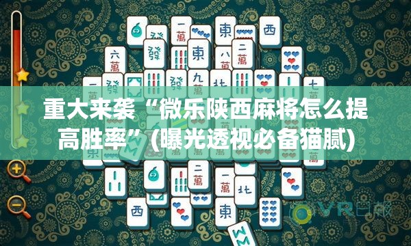 重大来袭“微乐陕西麻将怎么提高胜率”(曝光透视必备猫腻) 重大来袭“微乐陕西麻将怎么提高胜率”(曝光透视必备猫腻)
