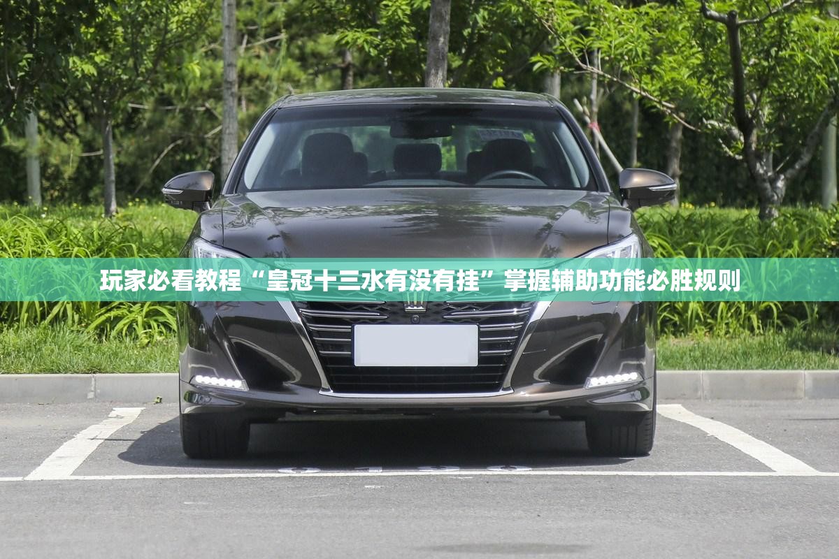 玩家必看教程“皇冠十三水有没有挂”掌握辅助功能必胜规则 玩家必看教程“皇冠十三水有没有挂”掌握辅助功能必胜规则