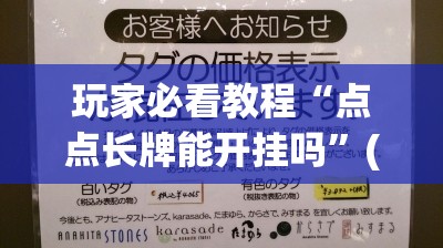 玩家必看教程“点点长牌能开挂吗”(曝光透视必备猫腻)