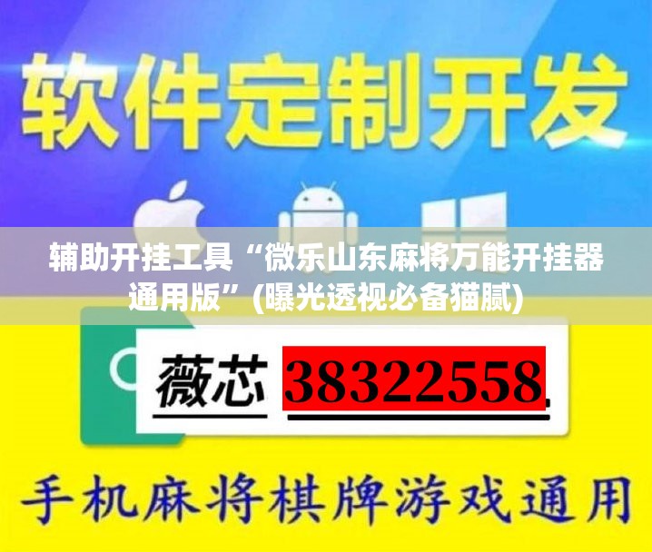 辅助开挂工具“微乐山东麻将万能开挂器通用版”(曝光透视必备猫腻) 辅助开挂工具“微乐山东麻将万能开挂器通用版”(曝光透视必备猫腻)