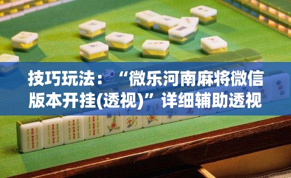 技巧玩法：“微乐河南麻将微信版本开挂(透视)”详细辅助透视