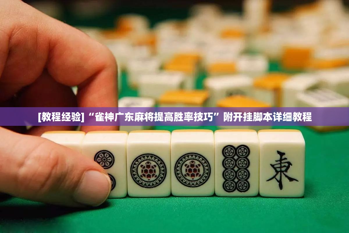 [教程经验]“雀神广东麻将提高胜率技巧”附开挂脚本详细教程