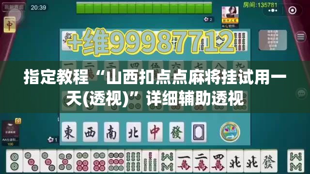 指定教程“山西扣点点麻将挂试用一天(透视)”详细辅助透视