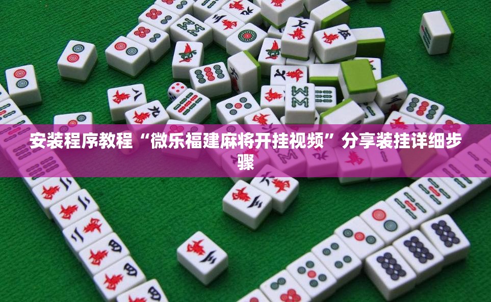 安装程序教程“微乐福建麻将开挂视频”分享装挂详细步骤