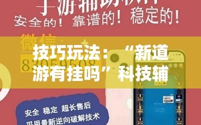 技巧玩法：“新道游有挂吗”科技辅助神器手机版教程