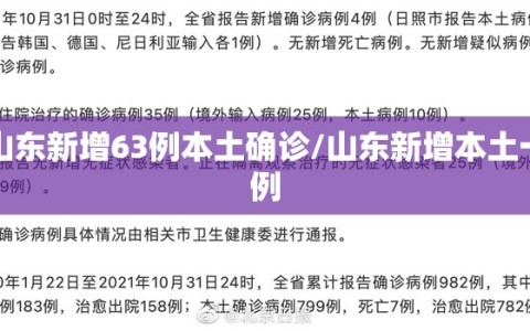 山东新增63例本土确诊/山东新增本土一例