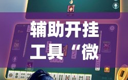 辅助开挂工具“微乐卡五星怎么样才能赢”开挂(透视)辅助神器