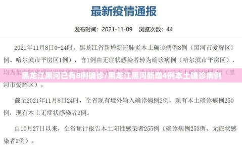 黑龙江黑河已有8例确诊/黑龙江黑河新增4例本土确诊病例