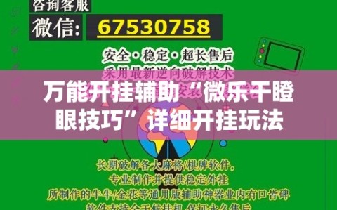 万能开挂辅助“微乐干瞪眼技巧”详细开挂玩法