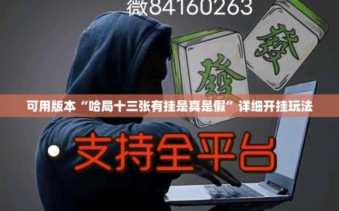 可用版本“哈局十三张有挂是真是假”详细开挂玩法