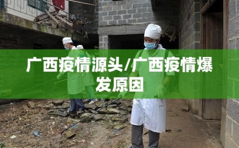 广西疫情源头/广西疫情爆发原因