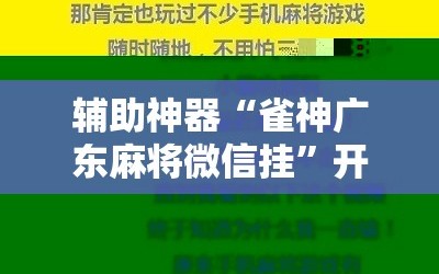 辅助神器“雀神广东麻将微信挂”开挂详细安装教程