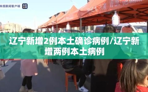 辽宁新增2例本土确诊病例/辽宁新增两例本土病例