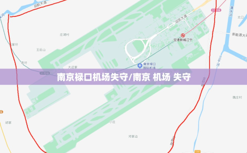南京禄口机场失守/南京 机场 失守