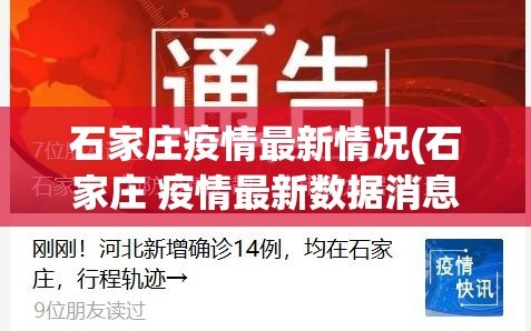 石家庄疫情最新情况(石家庄 疫情最新数据消息)