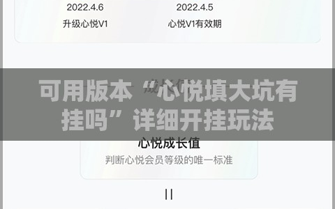可用版本“心悦填大坑有挂吗”详细开挂玩法