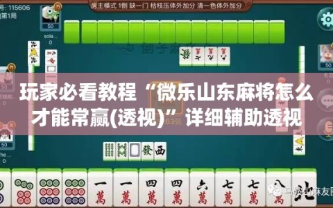 玩家必看教程“微乐山东麻将怎么才能常赢(透视)”详细辅助透视