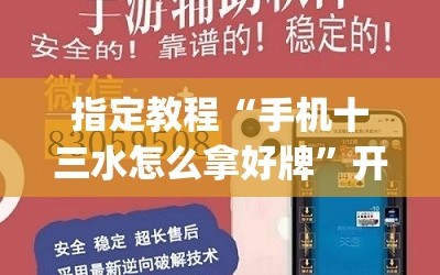 指定教程“手机十三水怎么拿好牌”开挂(透视)辅助神器