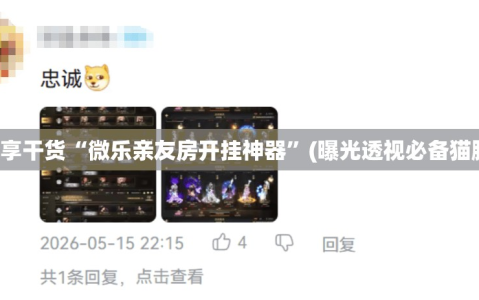 分享干货“微乐亲友房开挂神器”(曝光透视必备猫腻)