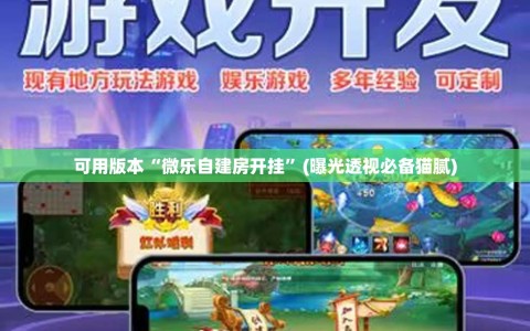 可用版本“微乐自建房开挂”(曝光透视必备猫腻)