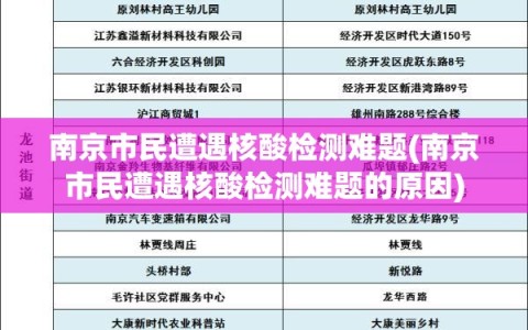 南京市民遭遇核酸检测难题(南京市民遭遇核酸检测难题的原因)