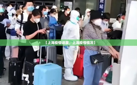 【上海疫情进展，上海疫惰情况】