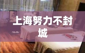 上海努力不封城
