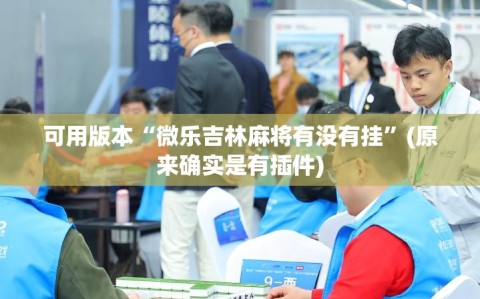 可用版本“微乐吉林麻将有没有挂”(原来确实是有插件)