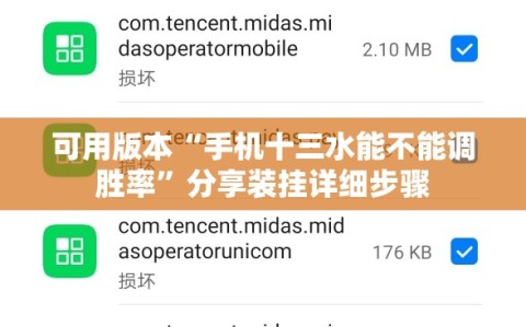 可用版本“手机十三水能不能调胜率”分享装挂详细步骤